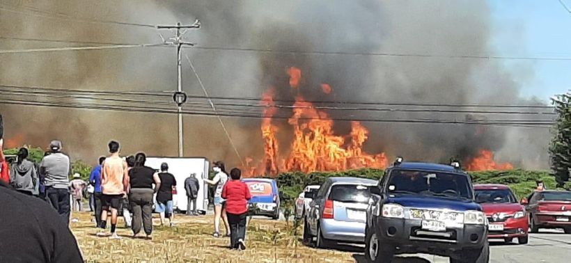 Activate second forest fire alarm in the Alerce Sur sector in Puerto Montt