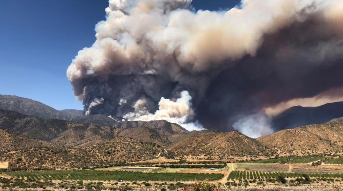 Forest fire in the Curacavi sector